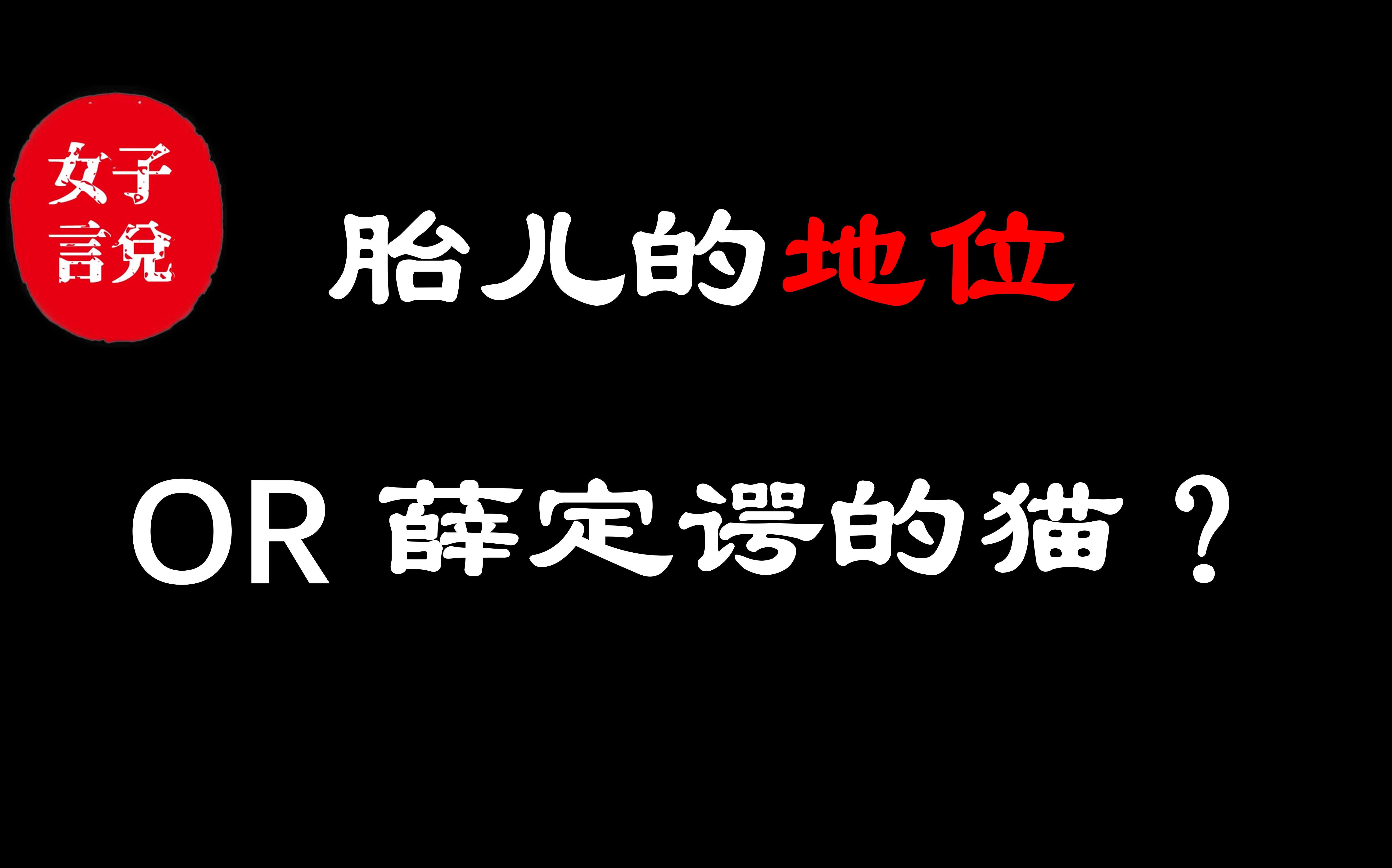 美国网友花式辩论:胎儿到底算不算人?哔哩哔哩bilibili