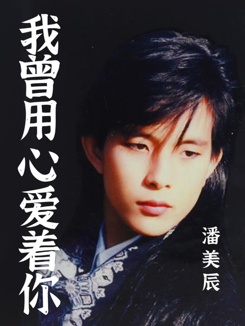 我曾用心爱着你 别让这份情换成空