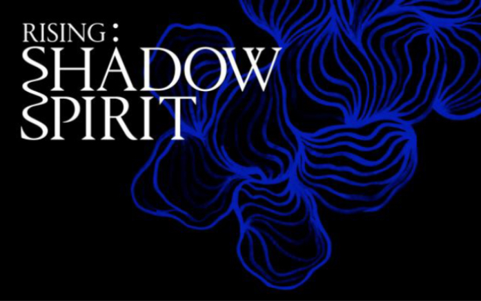 Shadow Spirit: 墨尔本弗林德斯车站原住民艺术展哔哩哔哩bilibili