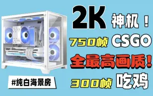 Download Video: 2500元装机神机，特效拉满750帧CSGO！全极致画质吃鸡300帧+！！！外观党VS性能党之争！