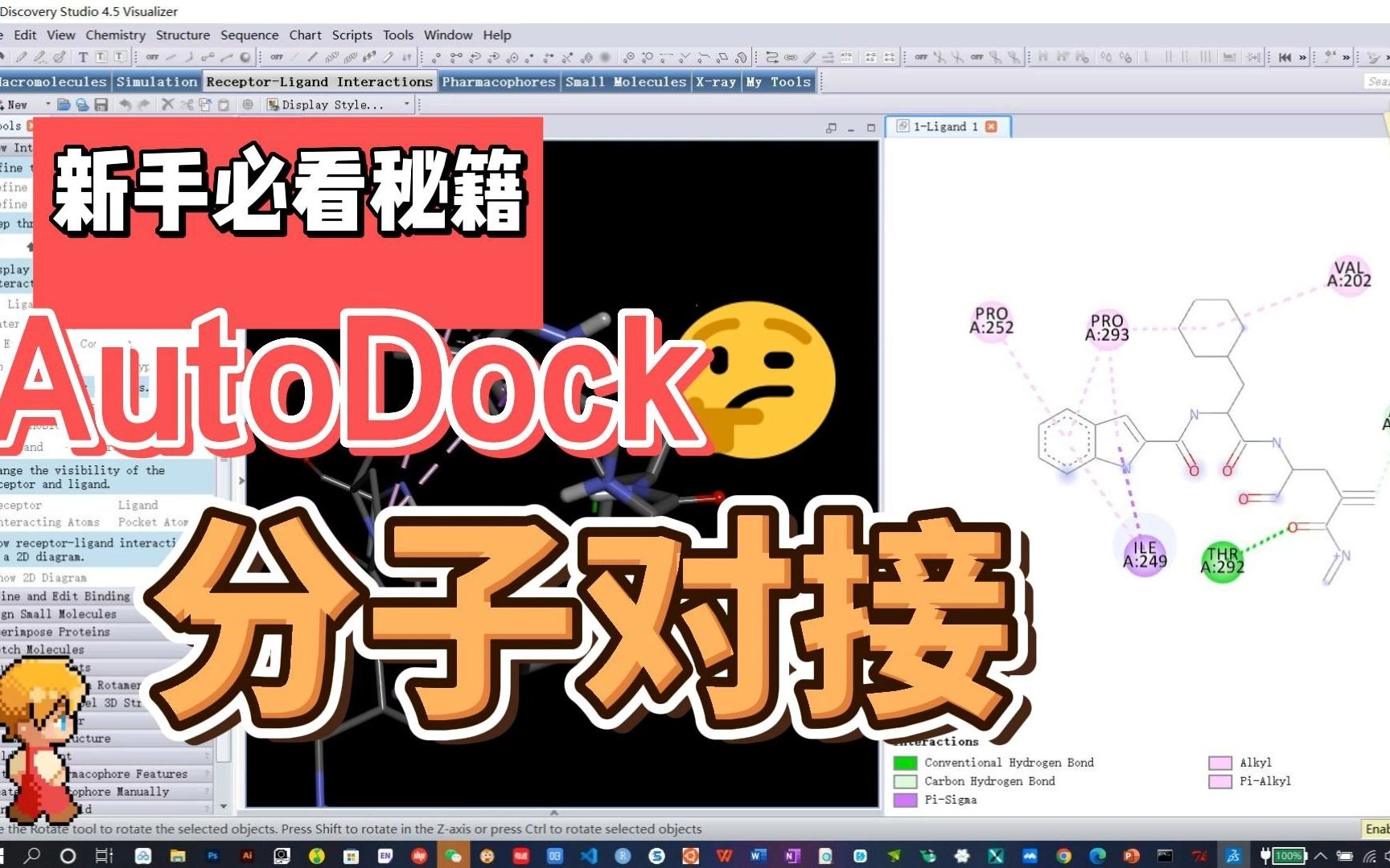 基于Autodock软件进行分子对接的环境配置及具体操作操作流程!哔哩哔哩bilibili