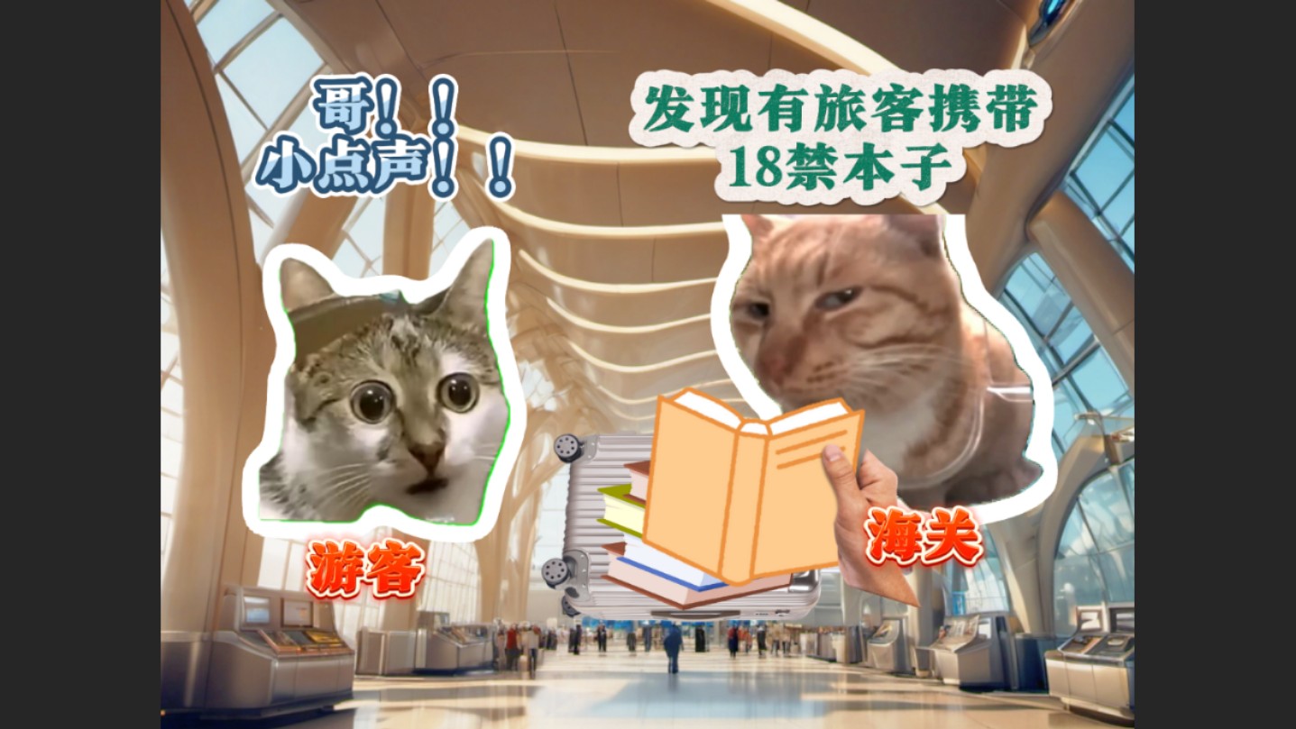 当你将日本18本子带回国被查到时