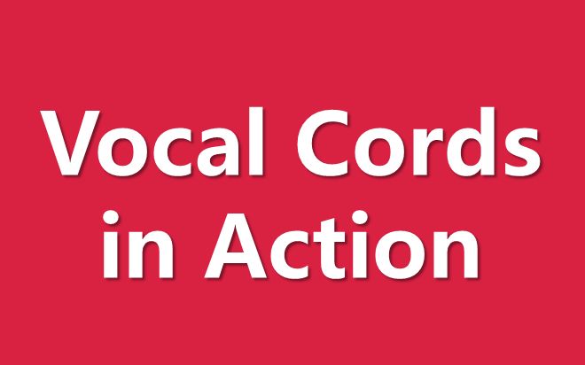 英语口语鼻腔镜视角下的声带振动公众号jason杰森锅