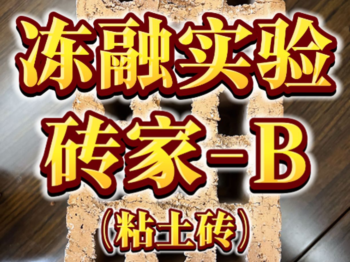 冻融循环实验粘土砖哔哩哔哩bilibili