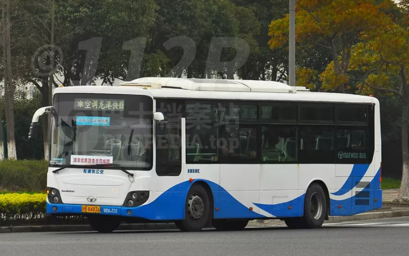 龙港快线早年w0a小泡菜