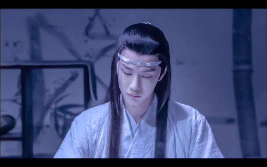 含光君 我们再也不胡说八道了