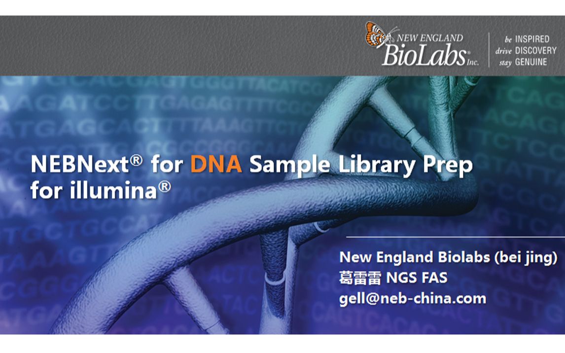 NEBNext 二代测序DNA样本建库解决方案哔哩哔哩bilibili