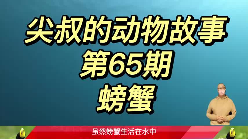 螃蟹到底会不会游泳,答案没有那么简单!哔哩哔哩bilibili