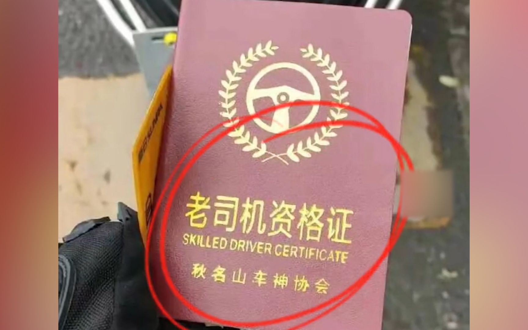 广西贺州一大妈逆行被查竟果断掏出秋名山车神老司机证