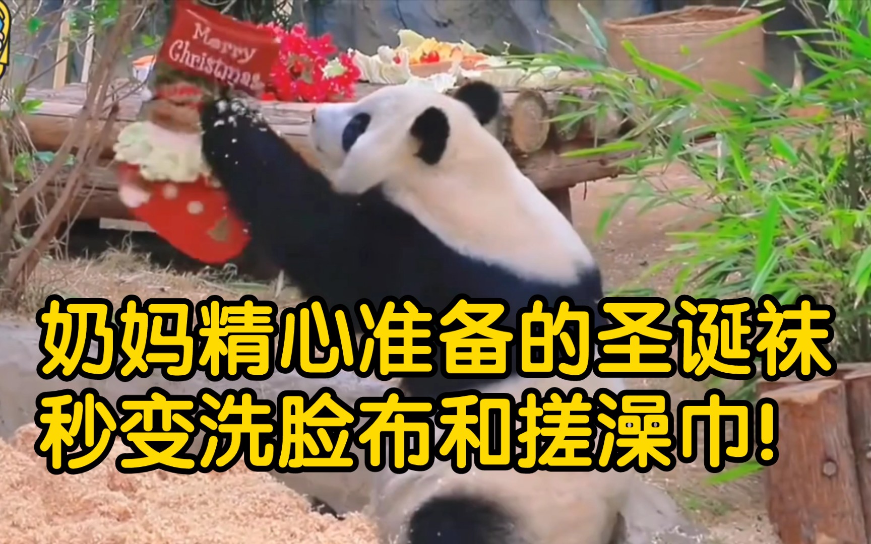 奶妈精心准备的圣诞袜秒变洗脸布和搓澡巾!