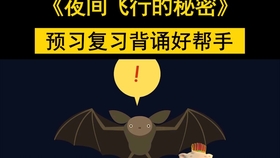 部编新人教版四年级上第6课 夜间飞行的秘密 课文朗读 哔哩哔哩 つロ干杯 Bilibili
