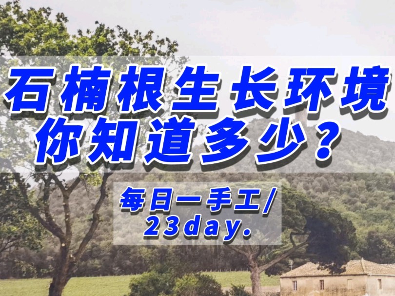 每日一手工/23day.石楠根生长环境,你知道多少?哔哩哔哩bilibili