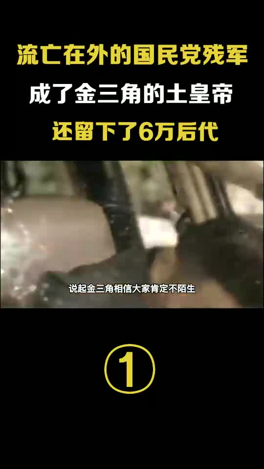 第1集国民党残军逃到“金三角”,称霸缅甸成为土皇帝,还留下6万后代!哔哩哔哩bilibili