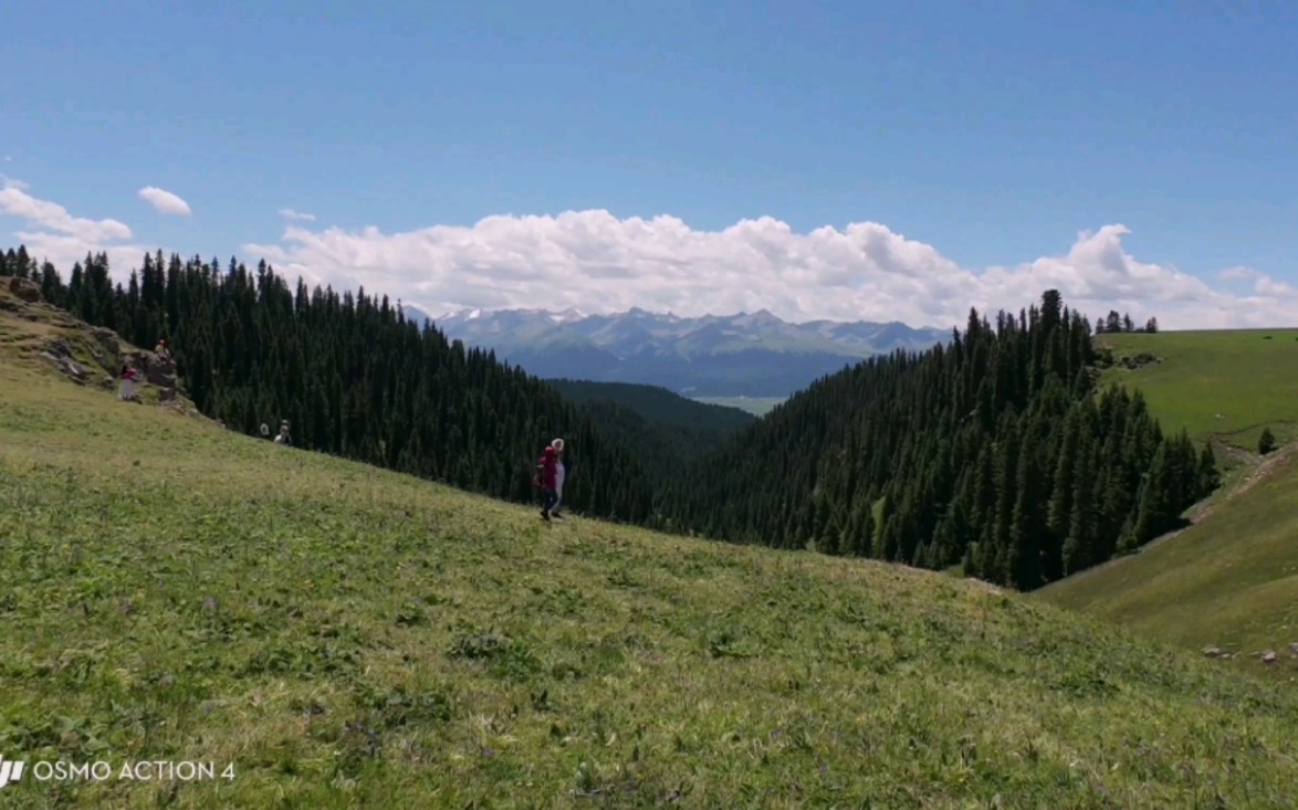 【新疆自驾游】喀拉峻草原