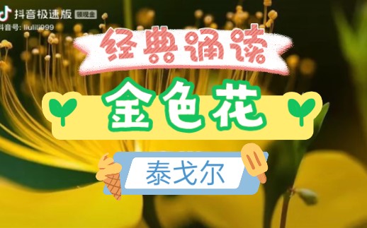 《金色花(泰戈尔)》经典朗读哔哩哔哩bilibili