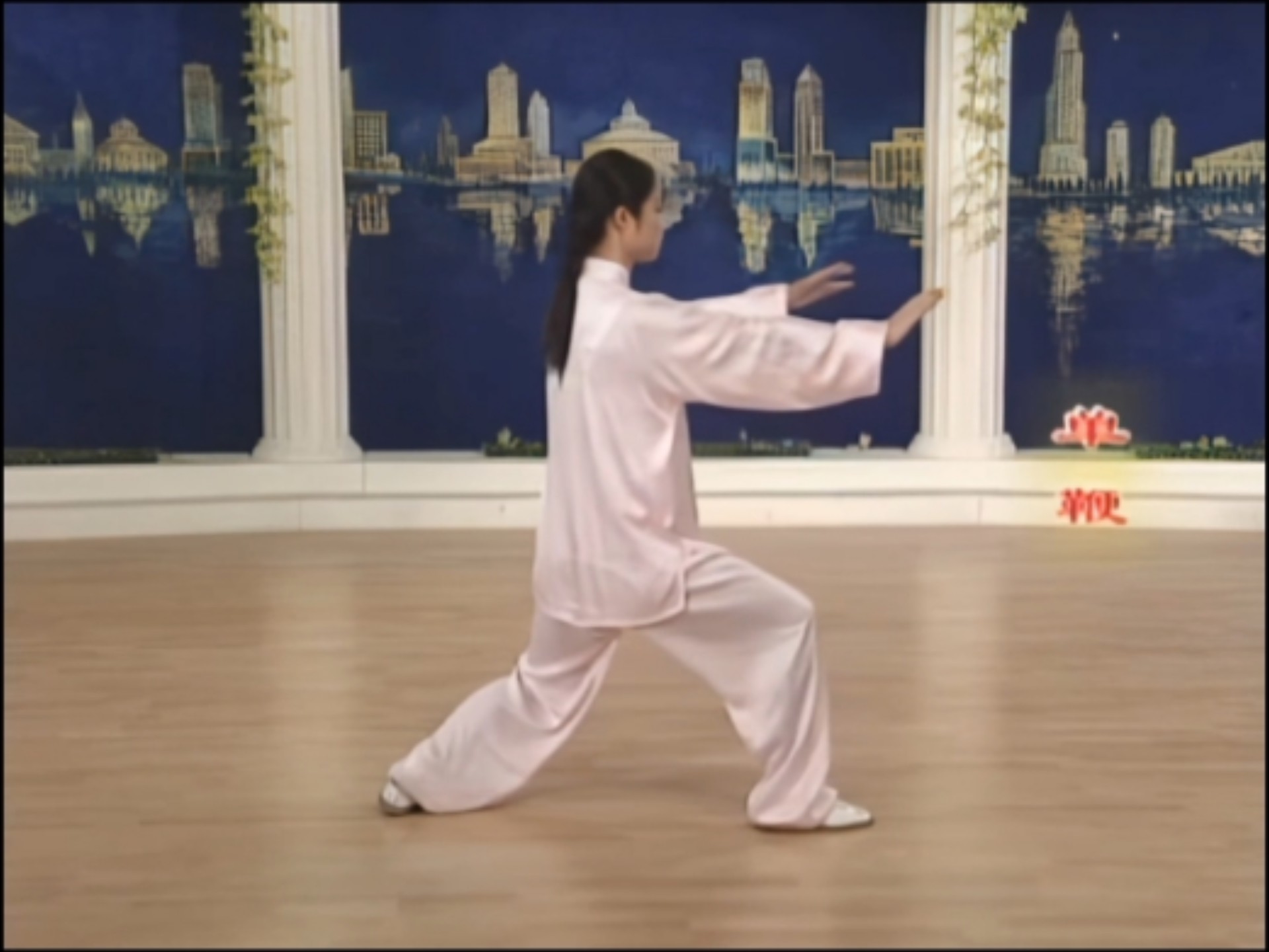 邱慧芳24式太极拳背向演练