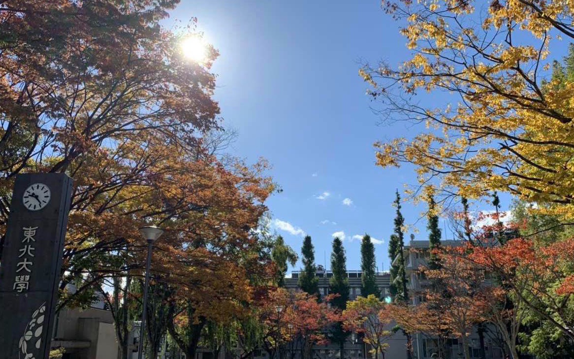 有关日本东北大学你可能想知道的十个问题哔哩哔哩bilibili