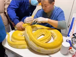 这都是啥啊