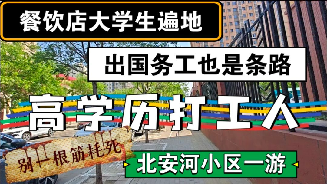 餐饮店遍地大学生,出国务工是条路,高学历打工人,北安河一游哔哩哔哩bilibili