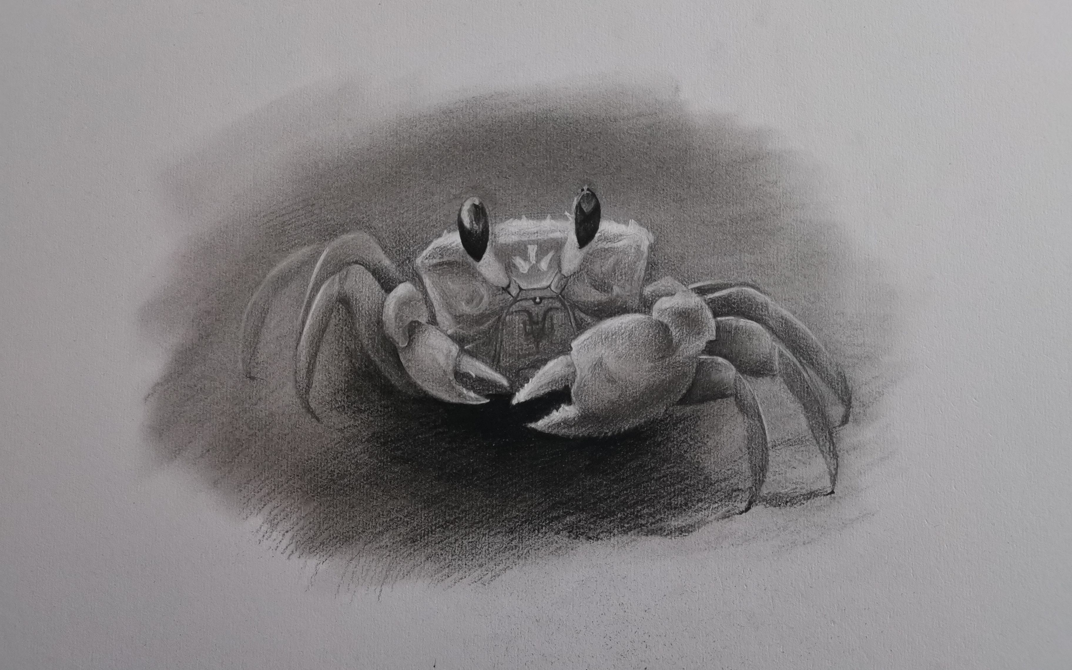 螃蟹的素描简笔画图片