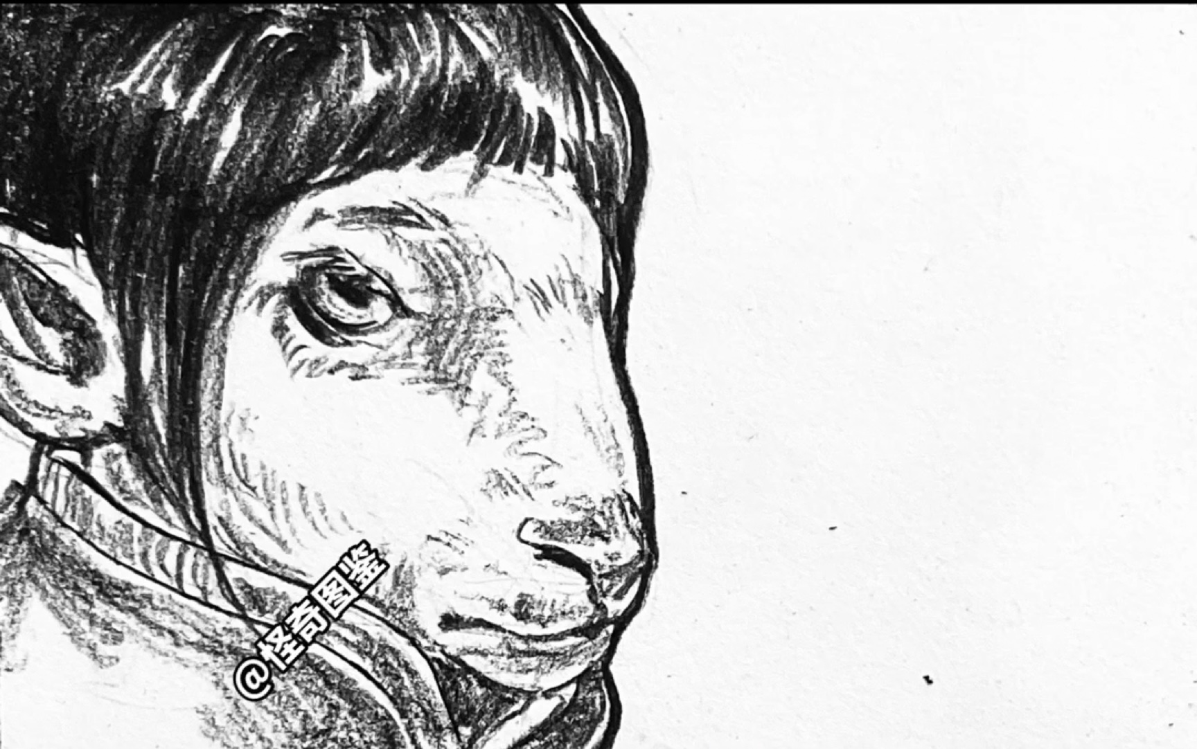 "我八岁那年就已经开始吃羊头"——老马