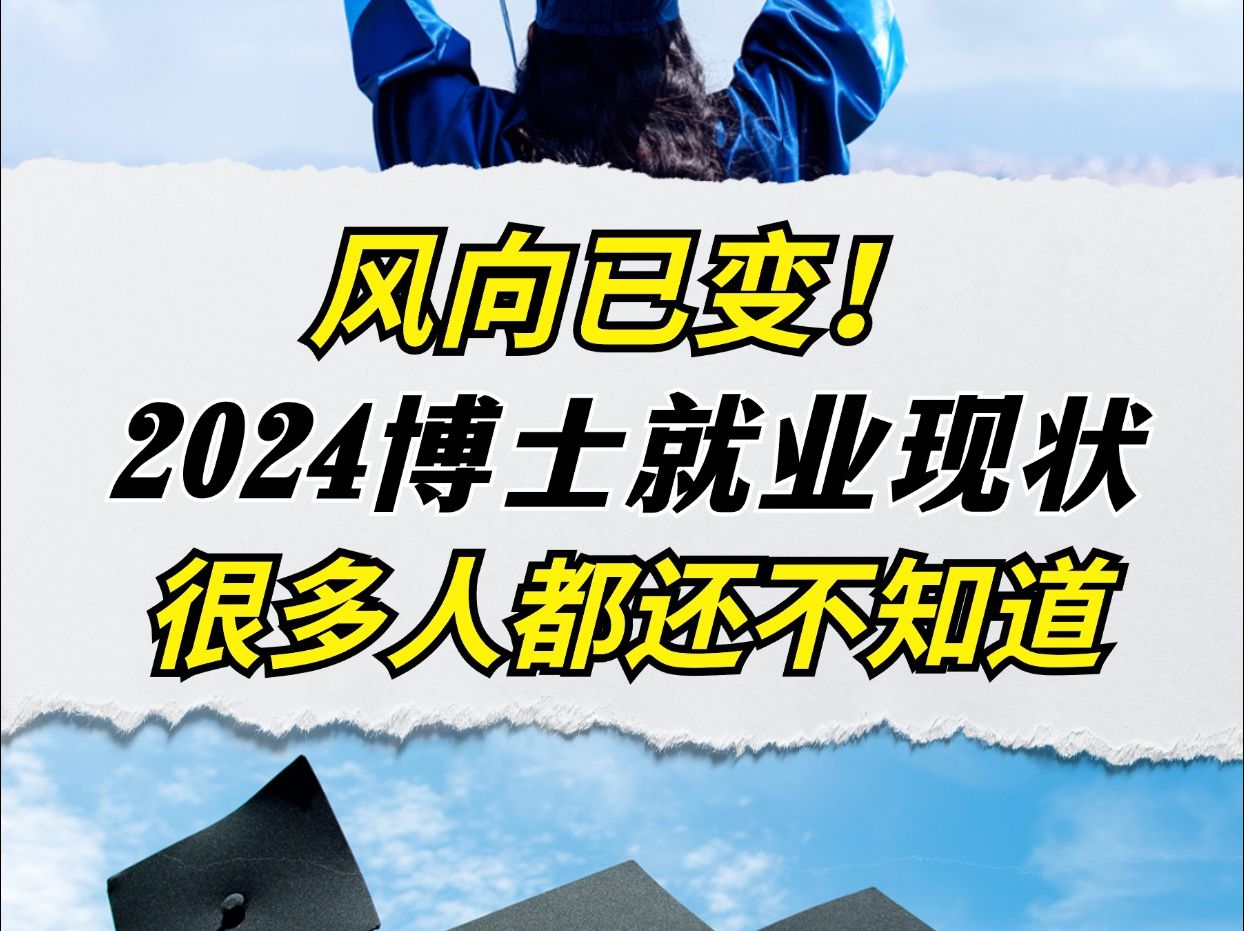 2024博士就业现状,很多人还不知道!哔哩哔哩bilibili