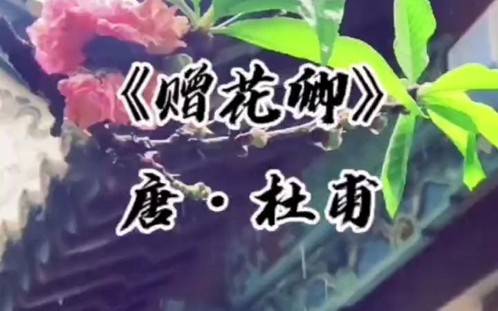 赠花卿唐杜甫哔哩哔哩bilibili