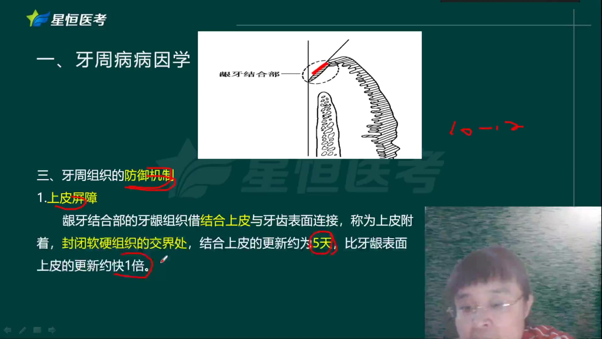 [图]2024年口腔执业医师考试直播陪学高端班 牙周病学