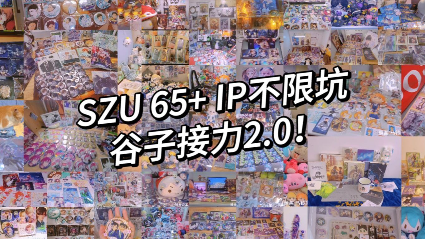 【SZU谷份有限公司】深圳大学65+IP多坑谷子接力2.0!一键查询有没有你推!哔哩哔哩bilibili