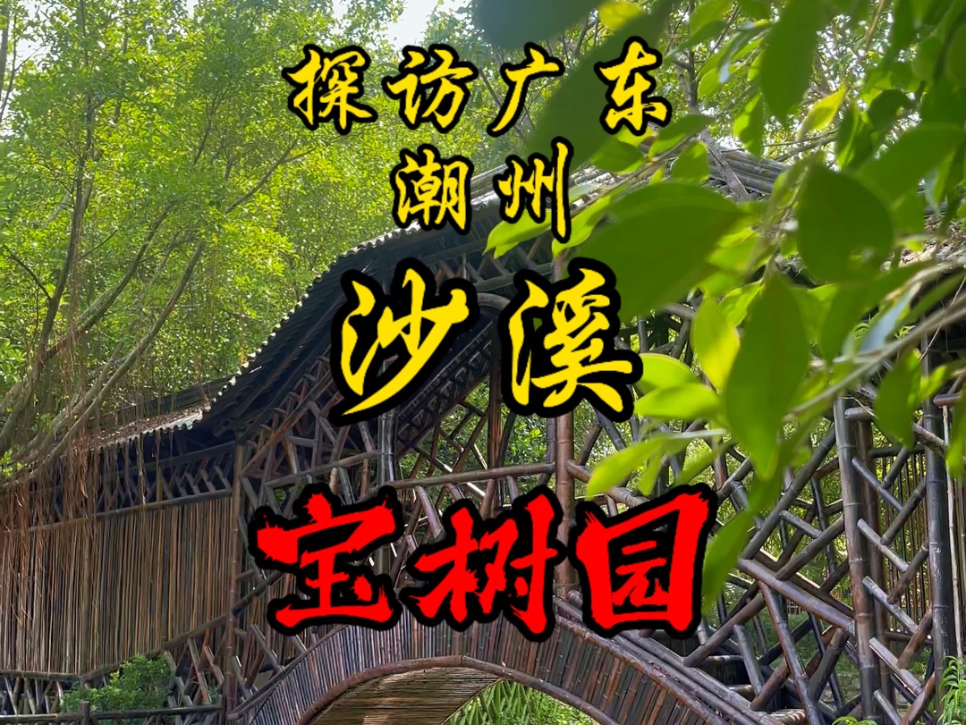 探访广东潮州 沙溪 宝树园