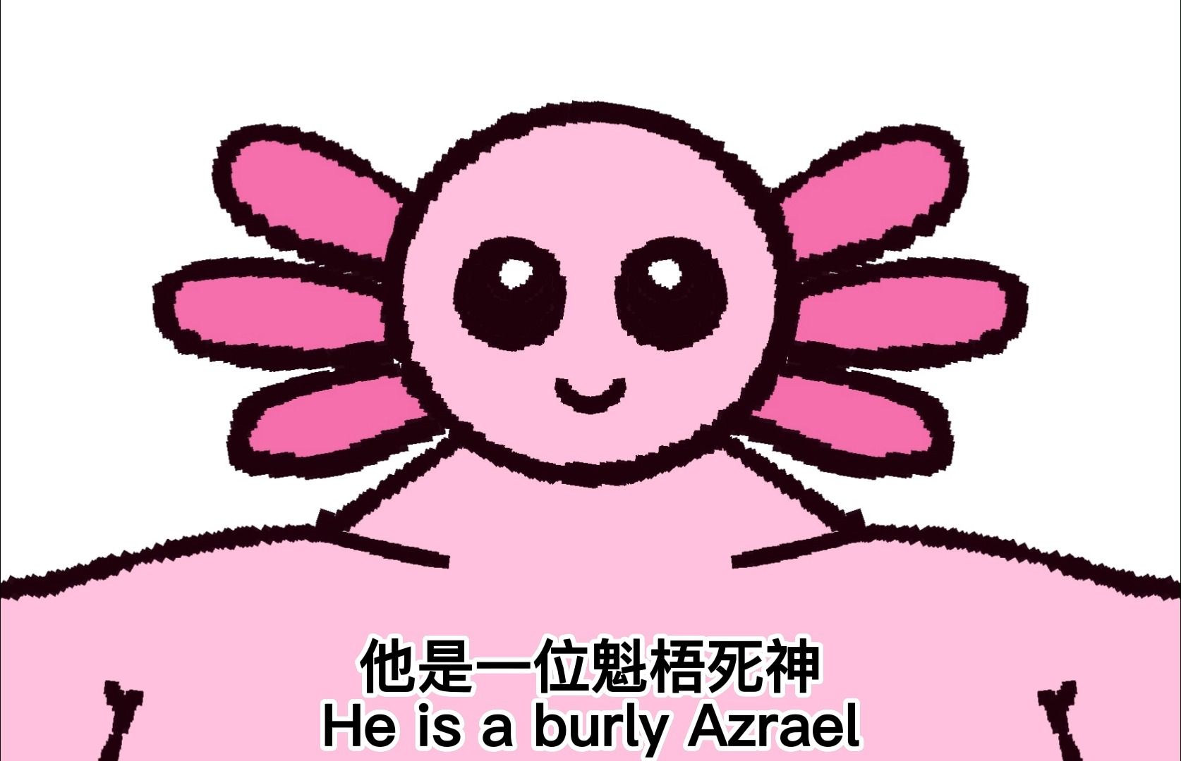 Azrael是一只魁梧的蝾螈哔哩哔哩bilibili