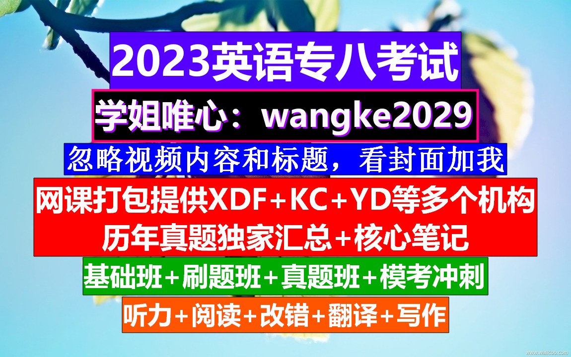 23年英语专业八级,英语专八考试官网,专四专八词汇量哔哩哔哩bilibili