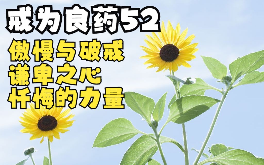 戒为良药52-傲慢与破戒,谦卑之心,忏悔的力量