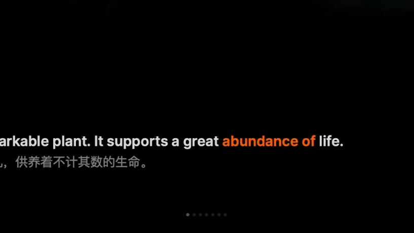 abundance哔哩哔哩bilibili