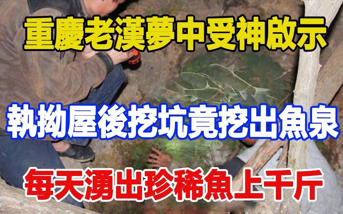 重庆老汉梦中受神启示执拗屋后挖坑竟挖出鱼泉每天涌出珍稀鱼上千斤月