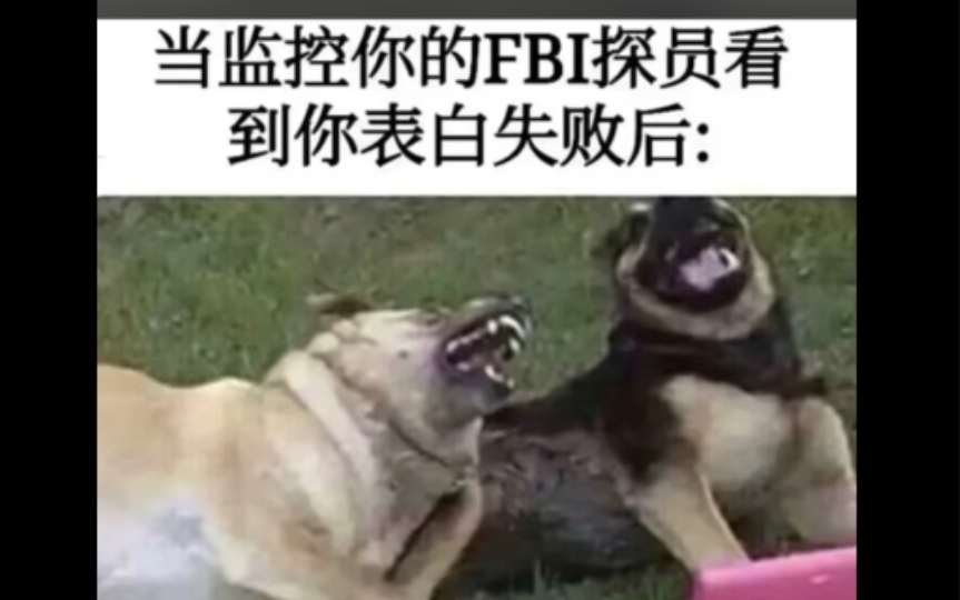 沙雕梗图|fbi会监控我们的生活吗