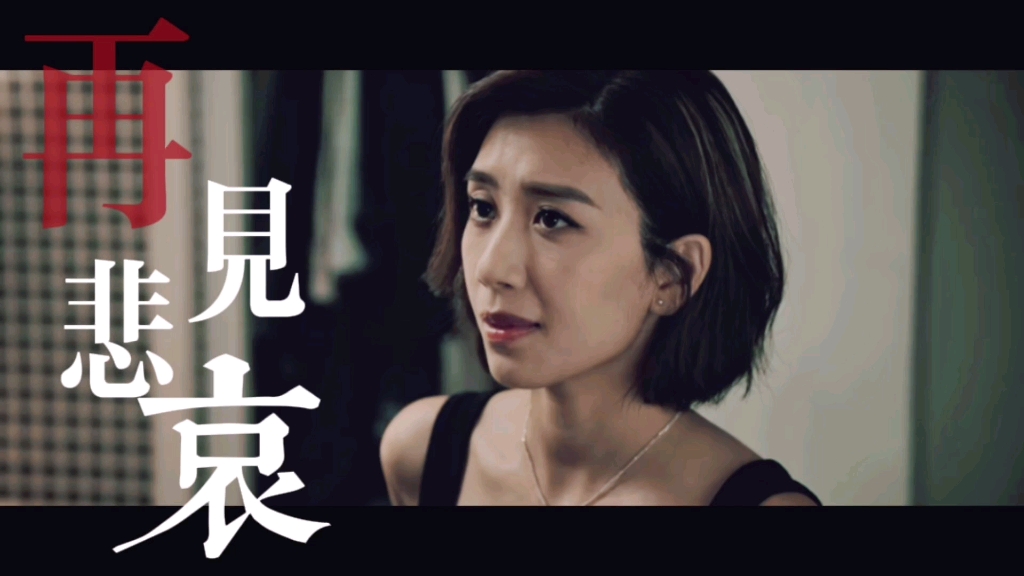 【刑侦日记】【黄智雯】【游雁星感情向】再见悲哀||情路太弯 过就过