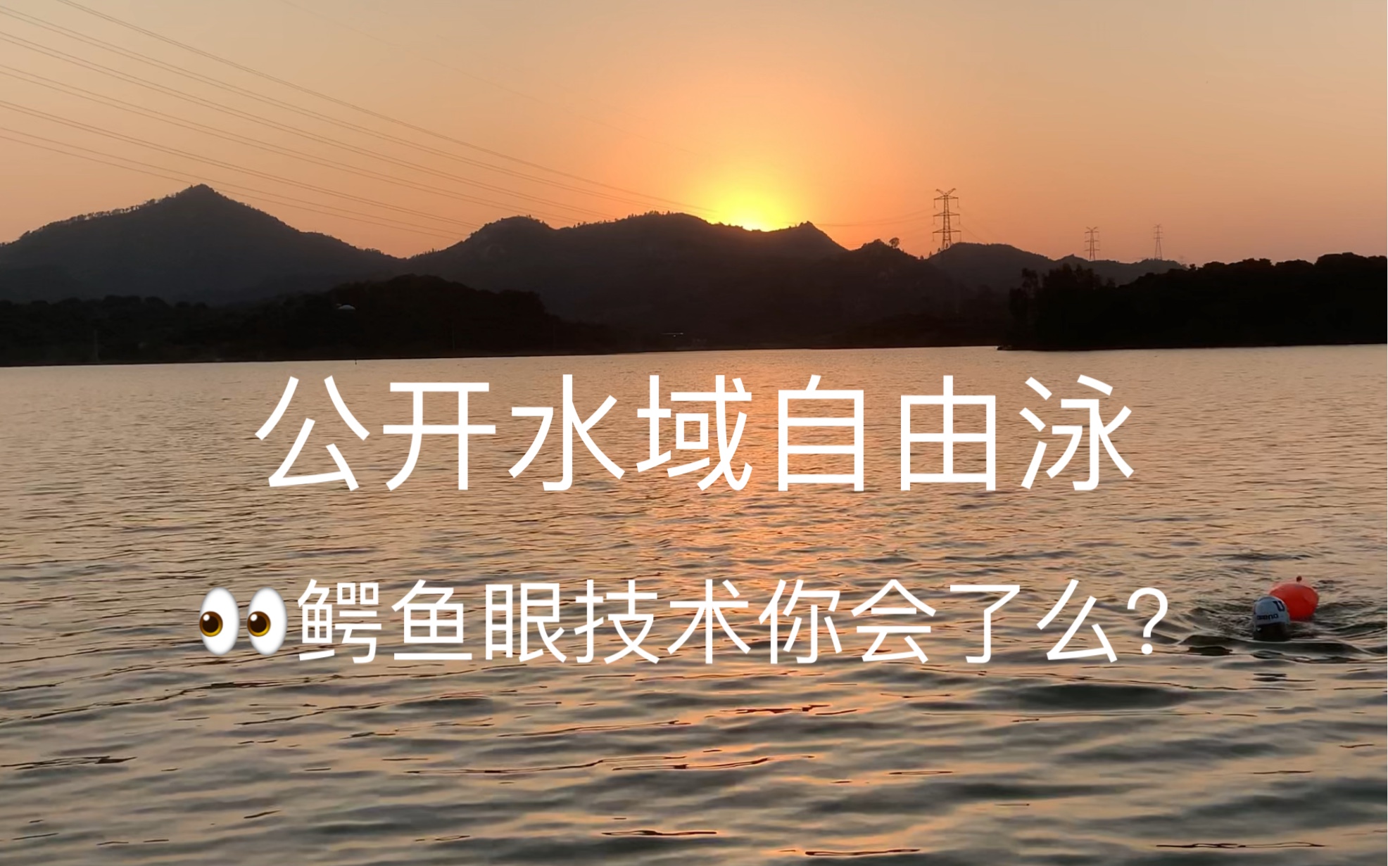 公开水域自由泳鳄鱼眼