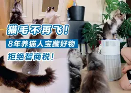 Télécharger la video: 猫毛不再飞 | 8年养猫人宝藏好物！拒绝智商税，敏感体质必备好物