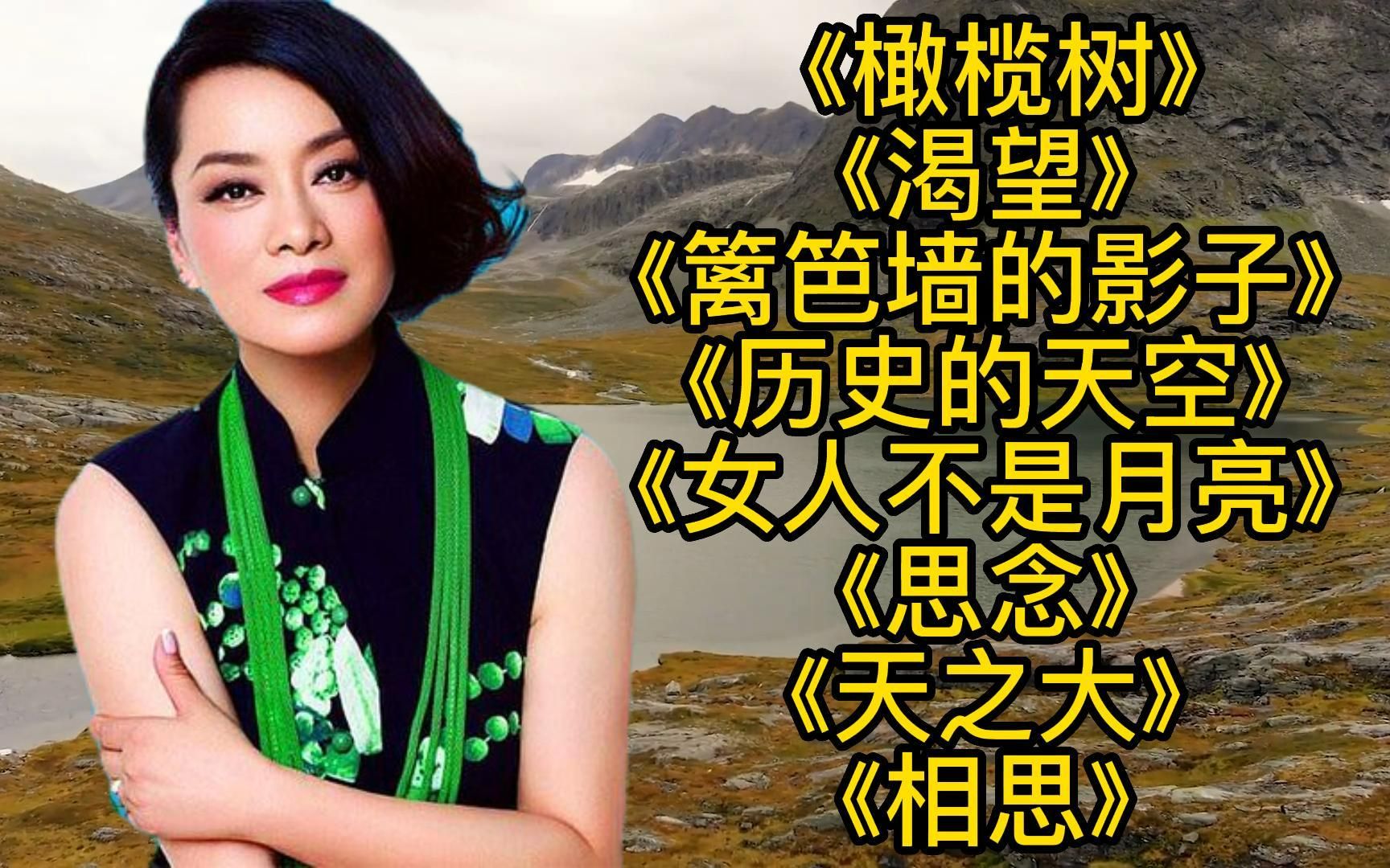 [图]毛阿敏<橄榄树><渴望><篱笆墙的影子><历史的天空><女人不是月亮>