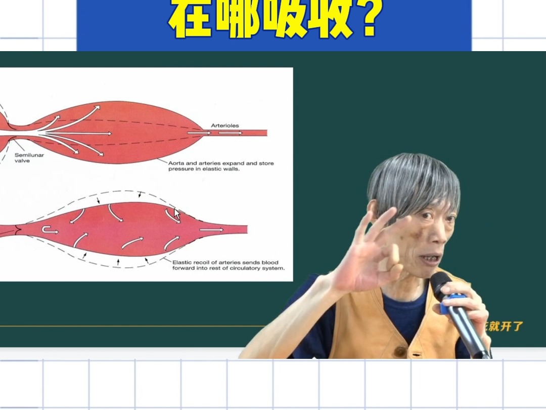 【刘忠保老师医学知识小课堂】小肠液中营养物质在哪吸收?哔哩哔哩bilibili