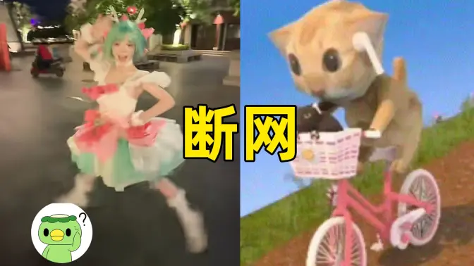 【断网补全计划113】炫倭名人,阿米嘎蒂朵猫,库里之歌,杭州网红大撤退,广东人掌握核武器,手搓三无飞机,香港大火,充电宝3c新规等