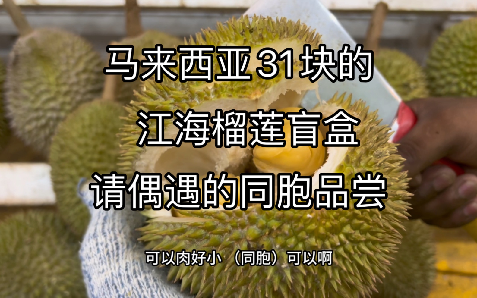 请了偶遇的三位同胞品尝,每个人喜欢的味道都不一样,千人千味哔哩哔哩bilibili