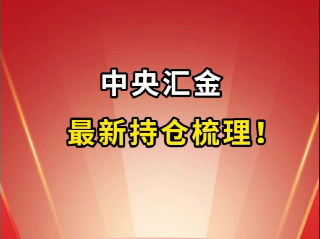 中央汇金公司,最新持仓梳理!哔哩哔哩bilibili