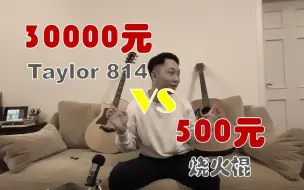 30000块和500块的吉他，差距到底有多大？---Taylor 814 VS 烧火棍