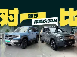 Download Video: 直降5万的豹5，和深蓝G318必有一战？