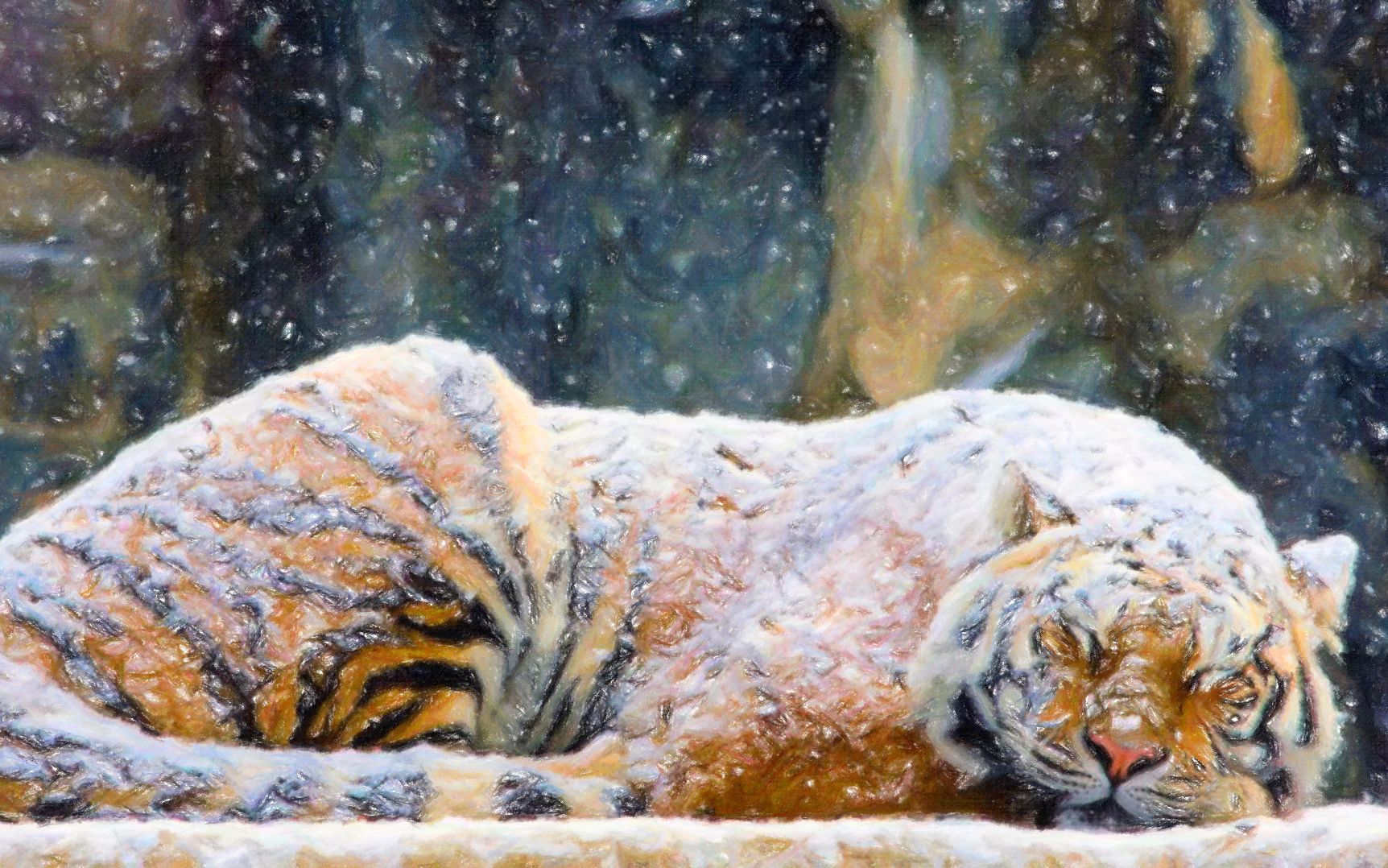 雪中的东北虎 炸至橘黄 裹上糖霜 隔壁游客馋哭了