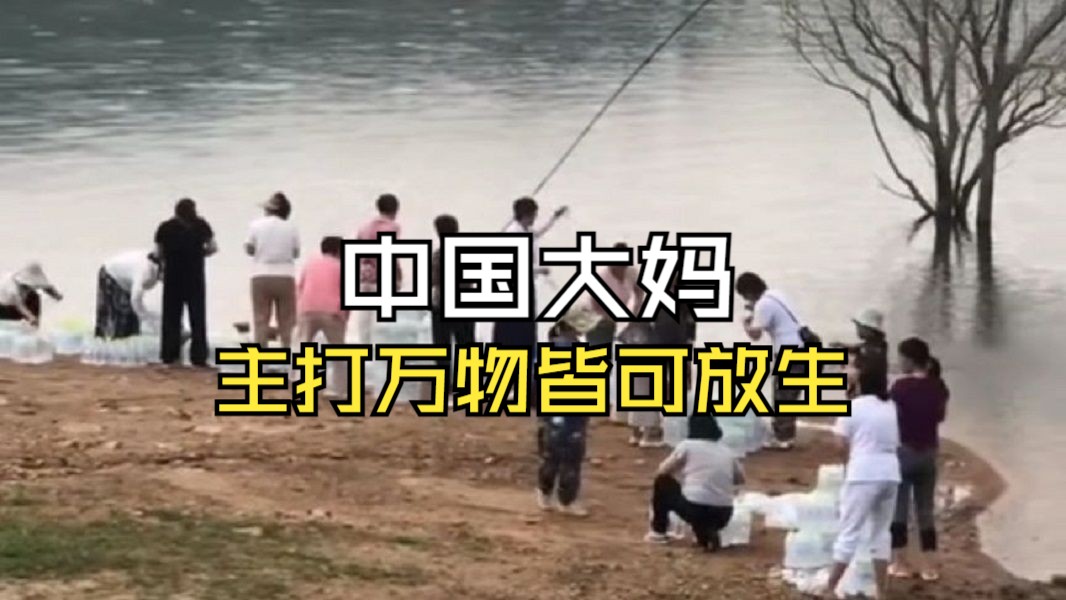 论谁是放生界的天花板,中国大妈最有发言权,主打一个万物皆可放生.