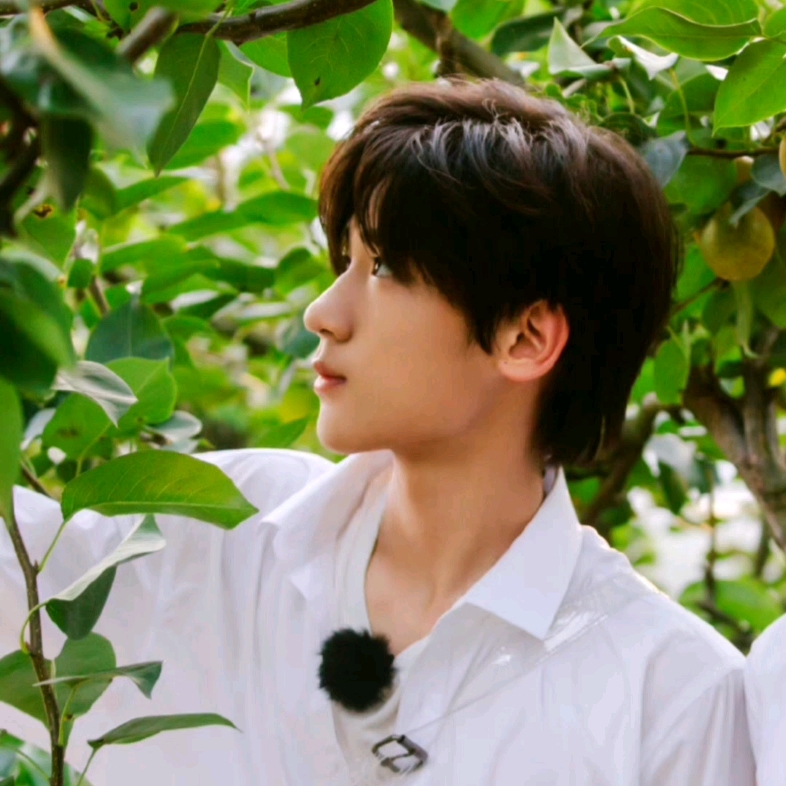 我的top1摩尔顺顺