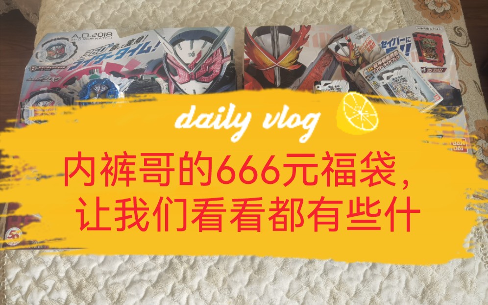 【假面骑士】内裤哥的666元福袋装箱视频,内裤哥恰黑钱了哔哩哔哩bilibili